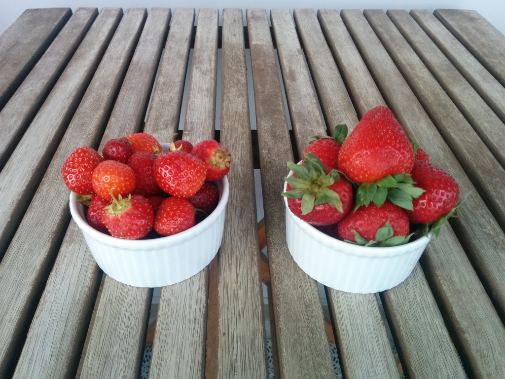 stawberries1.jpg